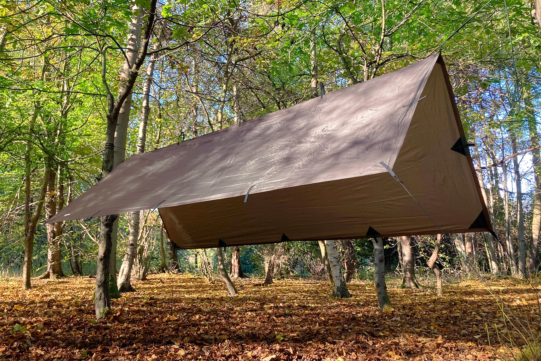 DD Tarp M bâche hamac vert olive 1 place