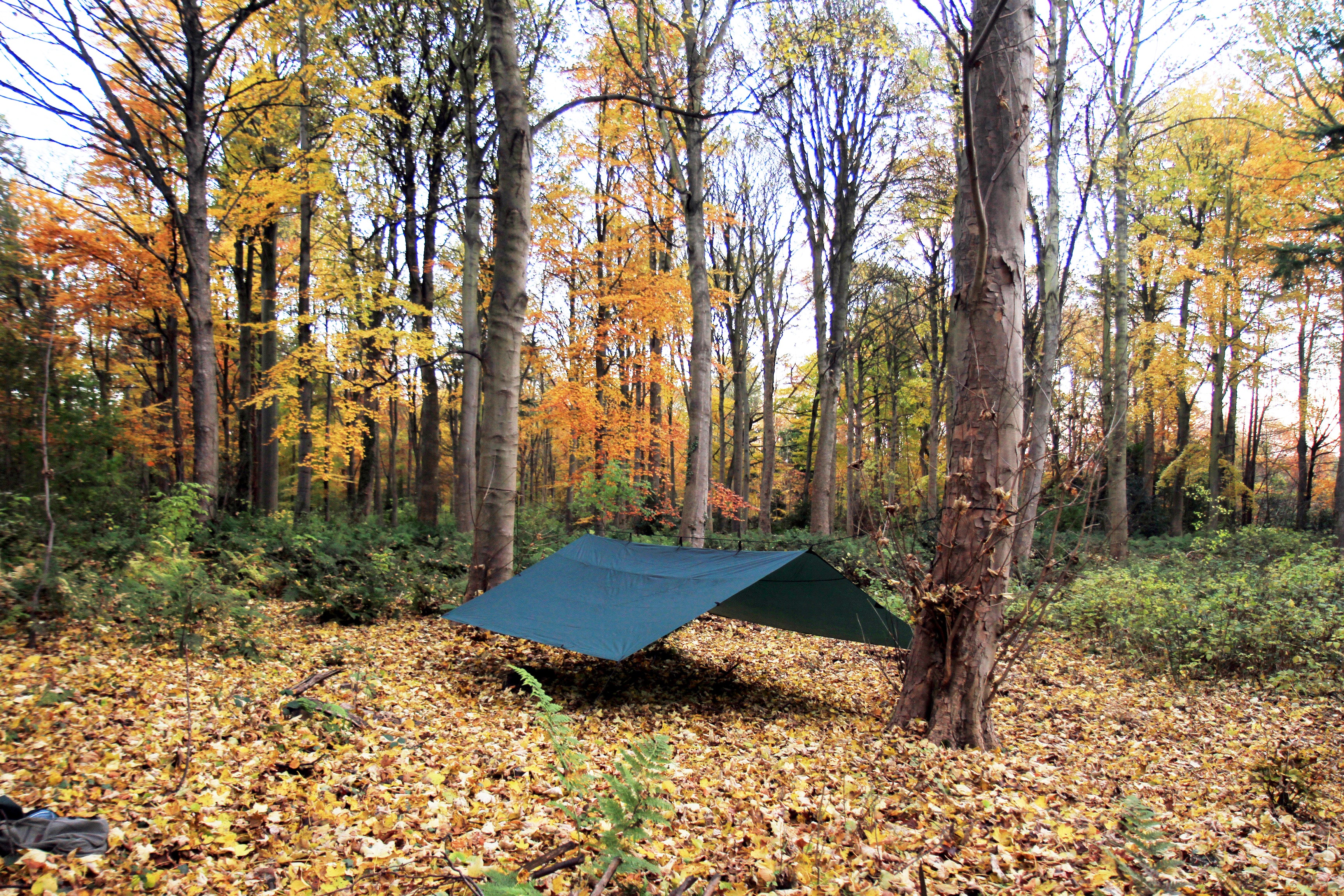 DD Hammocks Tarp 4x4 bâche olive green