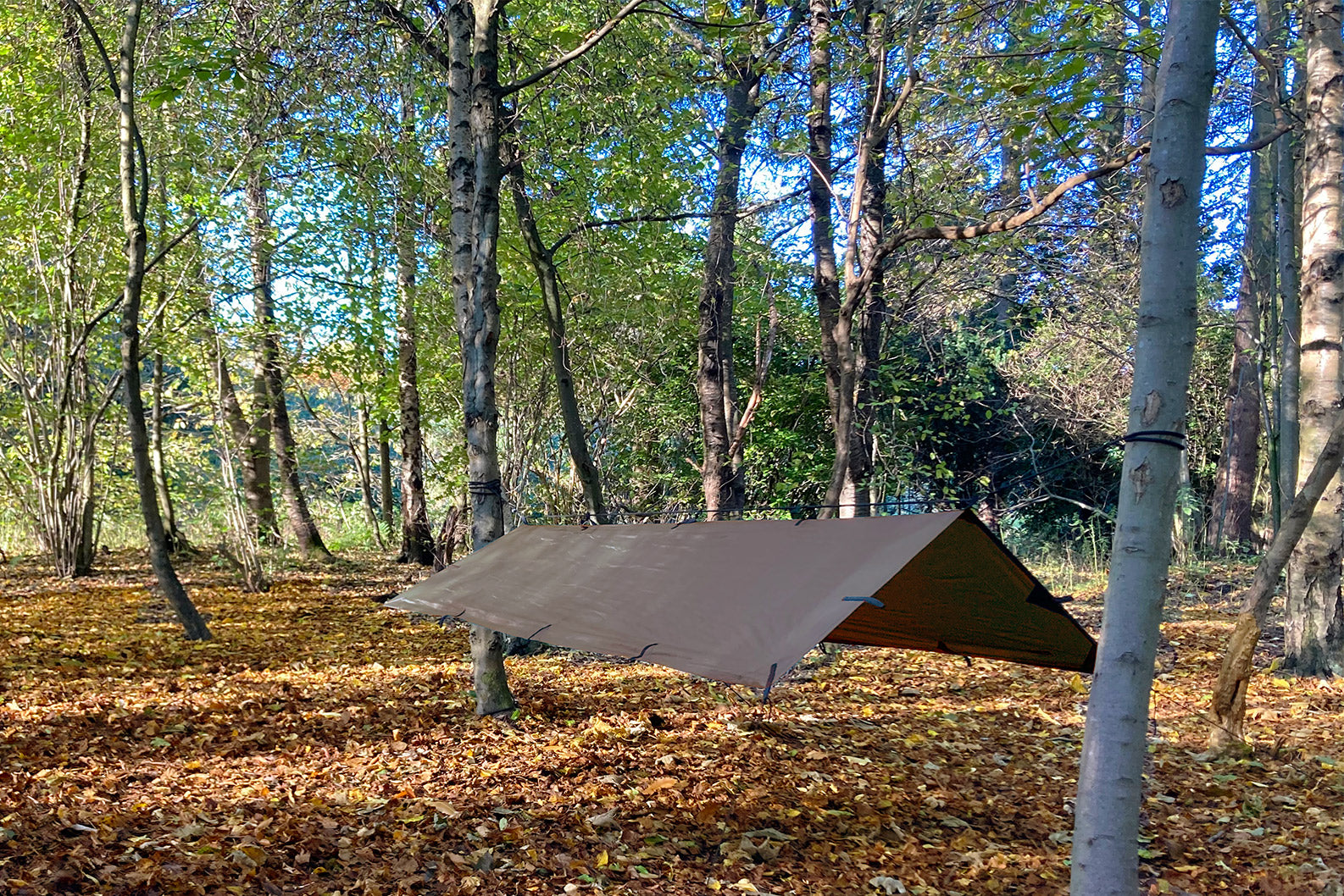Dd Hammocks Tarp S bâche olive green solo 3000 mm