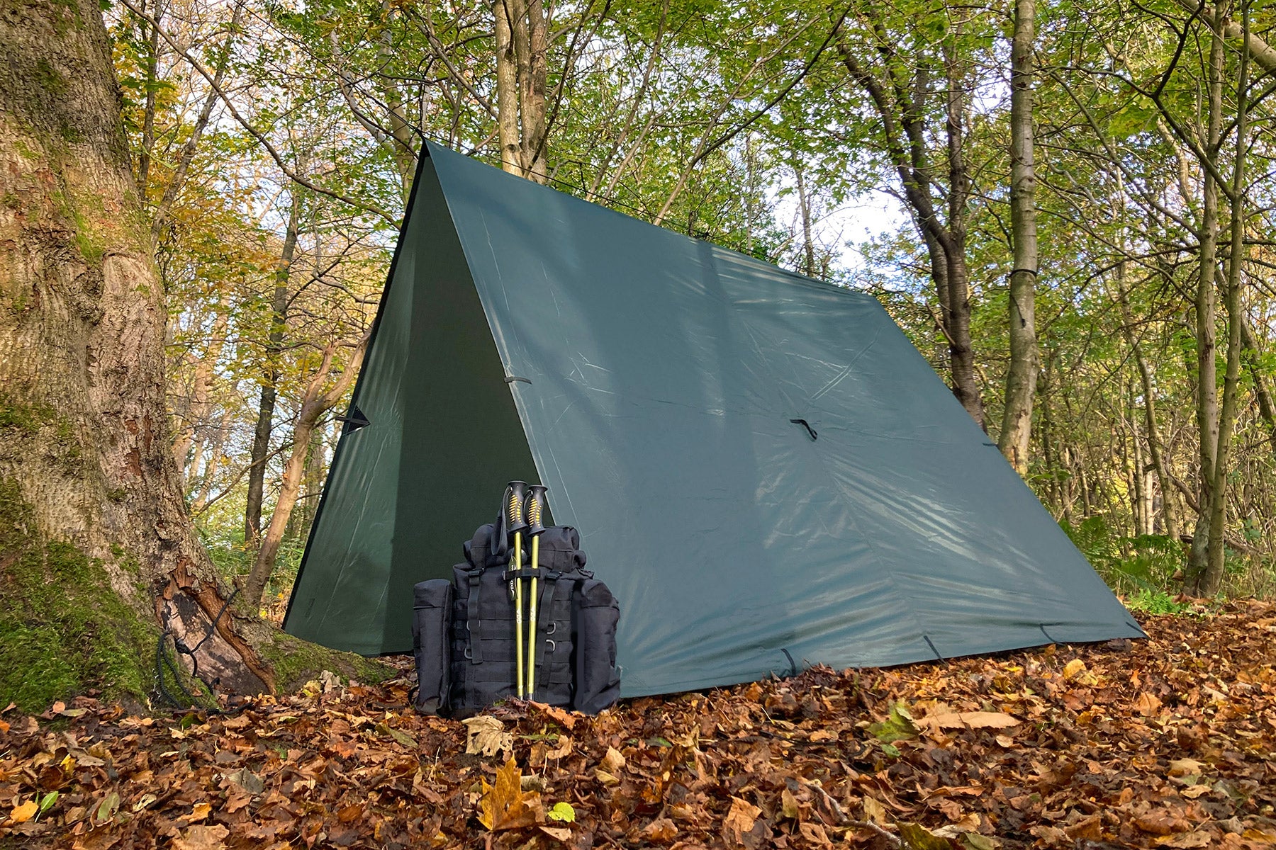DD Hammocks Tarp XL bâche 4,5x3 m Vert olive