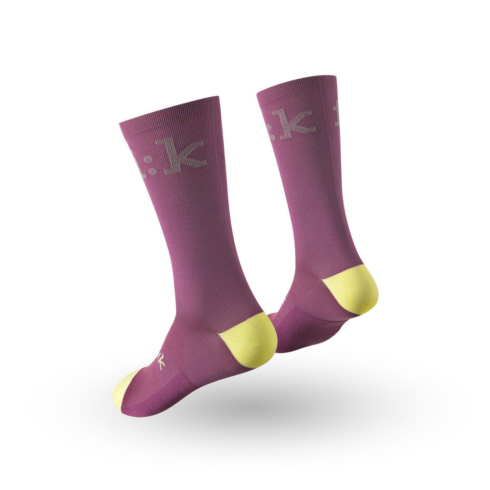 Fizik Performance Team chaussettes vélo