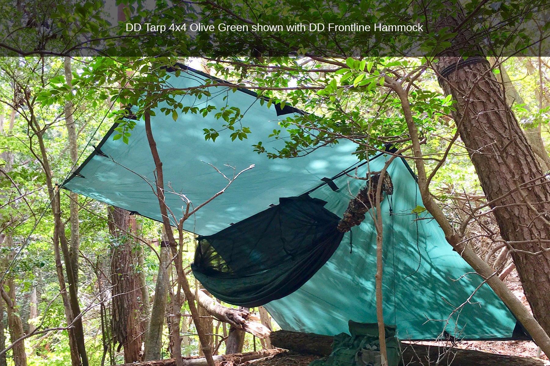 DD Hammocks Tarp 4x4 bâche olive green