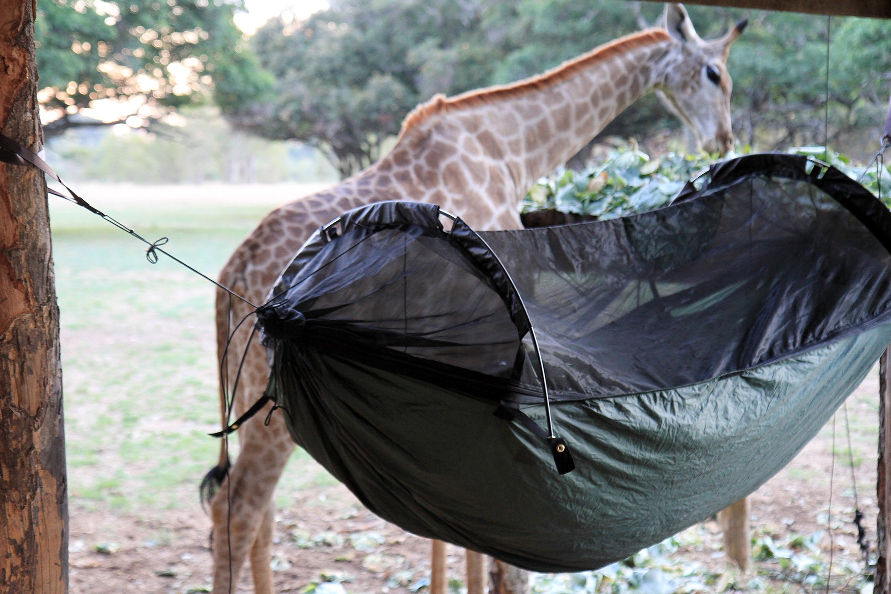 DD Hammocks SuperLight Jungle hamac moustiquaire 1,7 kg