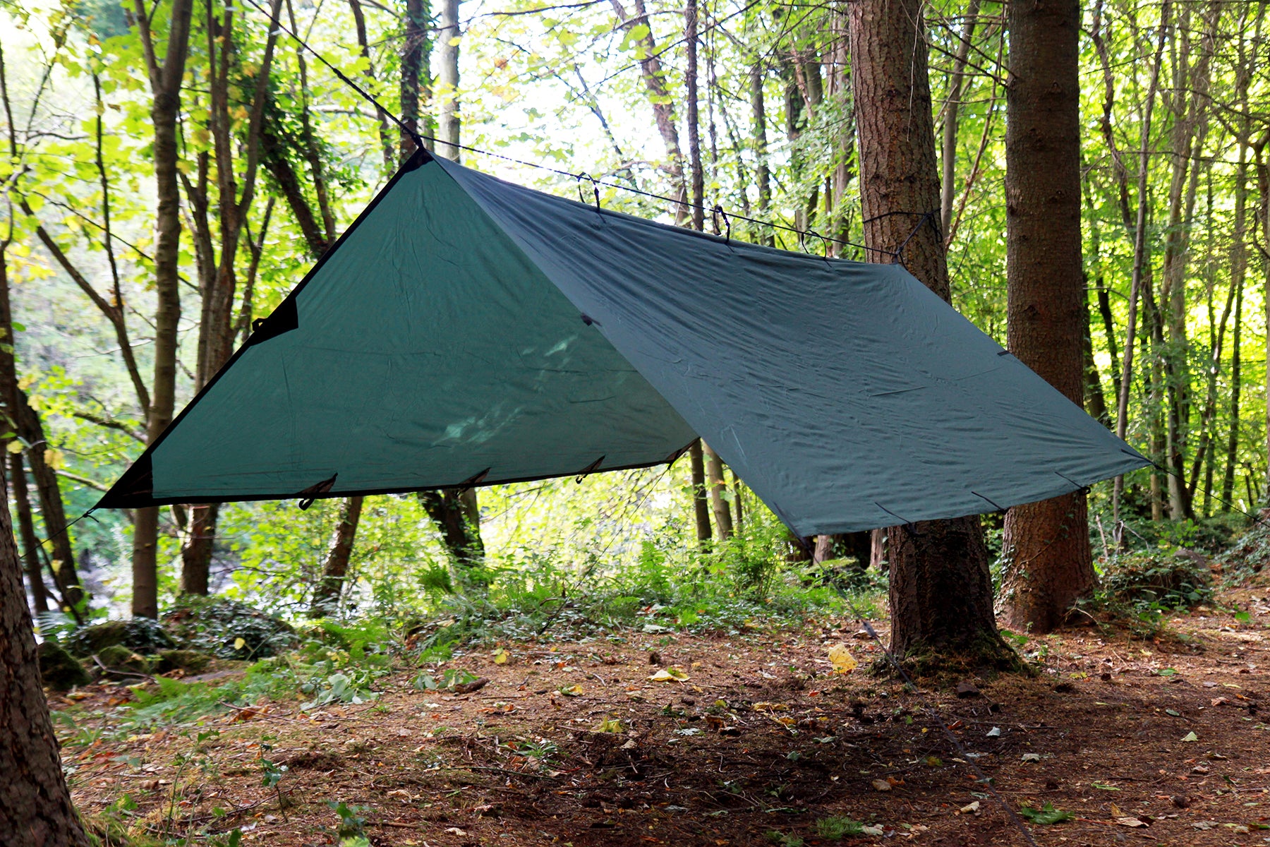 DD Tarp M bâche hamac vert olive 1 place