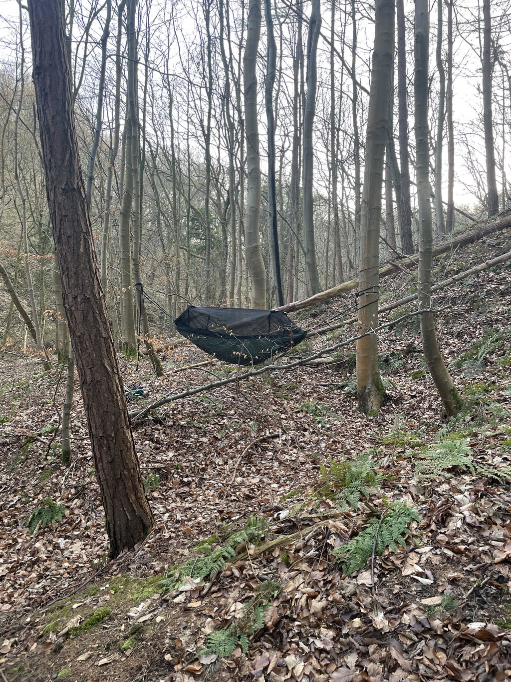 DD Hammocks Frontline hamac camping moustiquaire olive