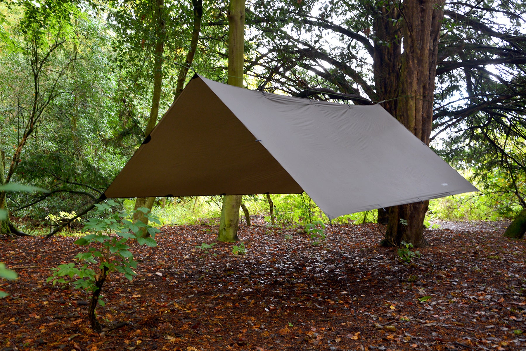 DD SuperLight Tarp bâche hamac vert olive 19 attaches