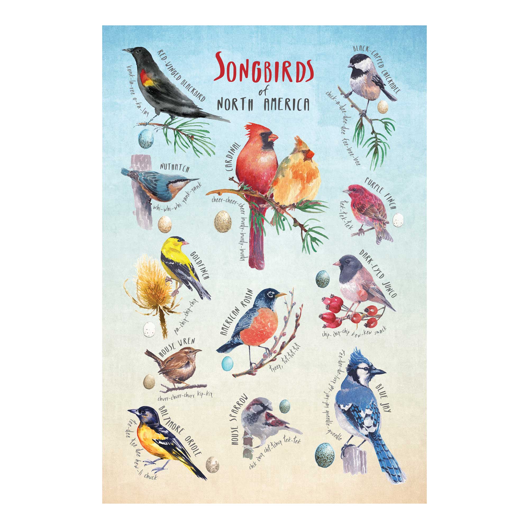 GSI Outdoor Games Songbirds mini puzzle 150 pièces