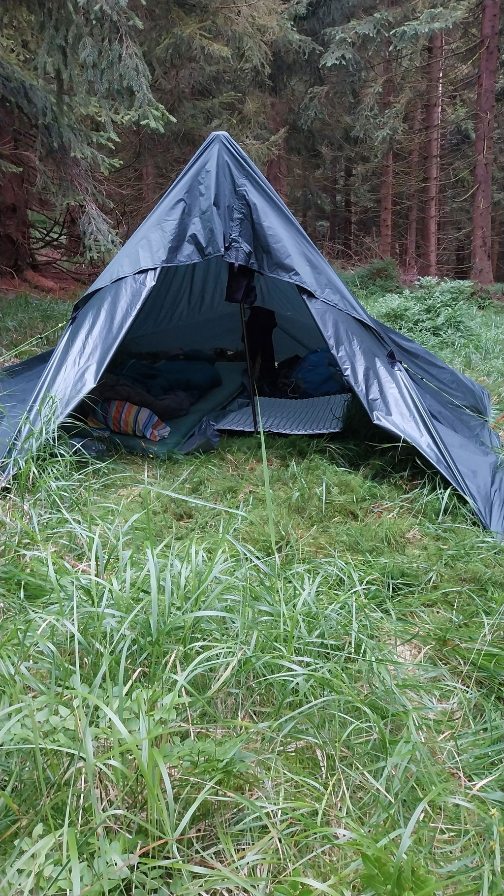 DD SuperLight Tarp bâche hamac vert olive 19 attaches