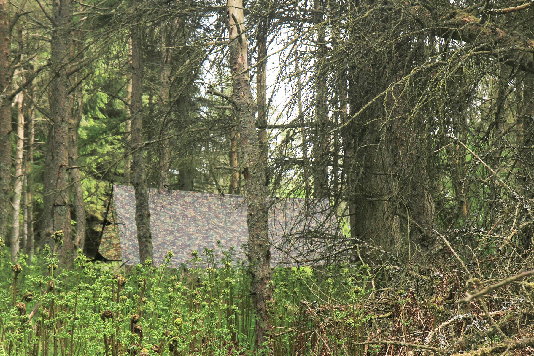 DD Hammocks Tarp 3x3 Bache Multicam Etanche
