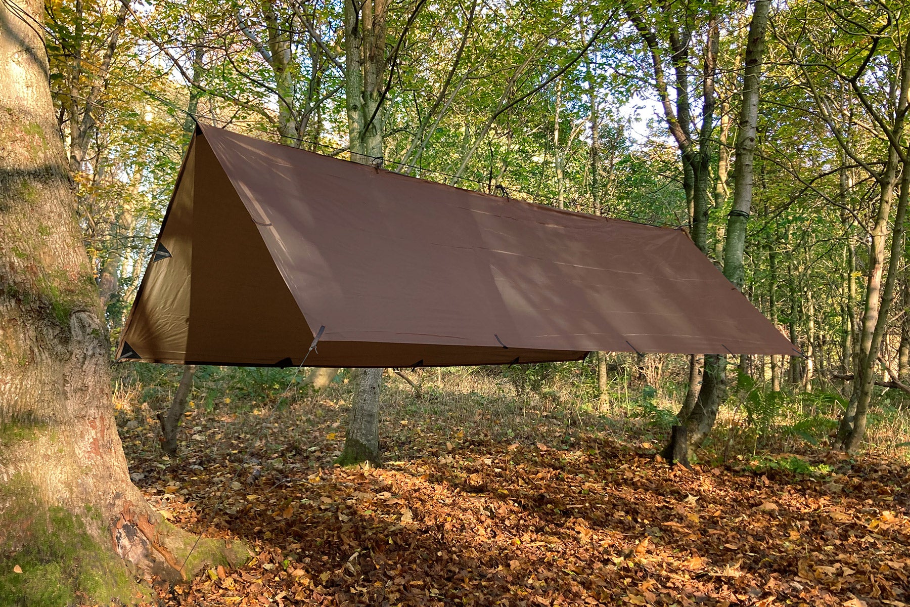 DD Hammocks Tarp XL bâche 4,5x3 m Vert olive