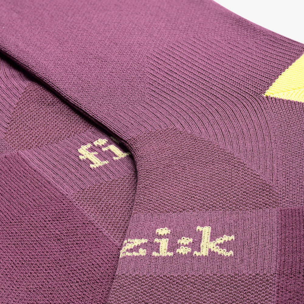 Fizik Performance Team chaussettes vélo