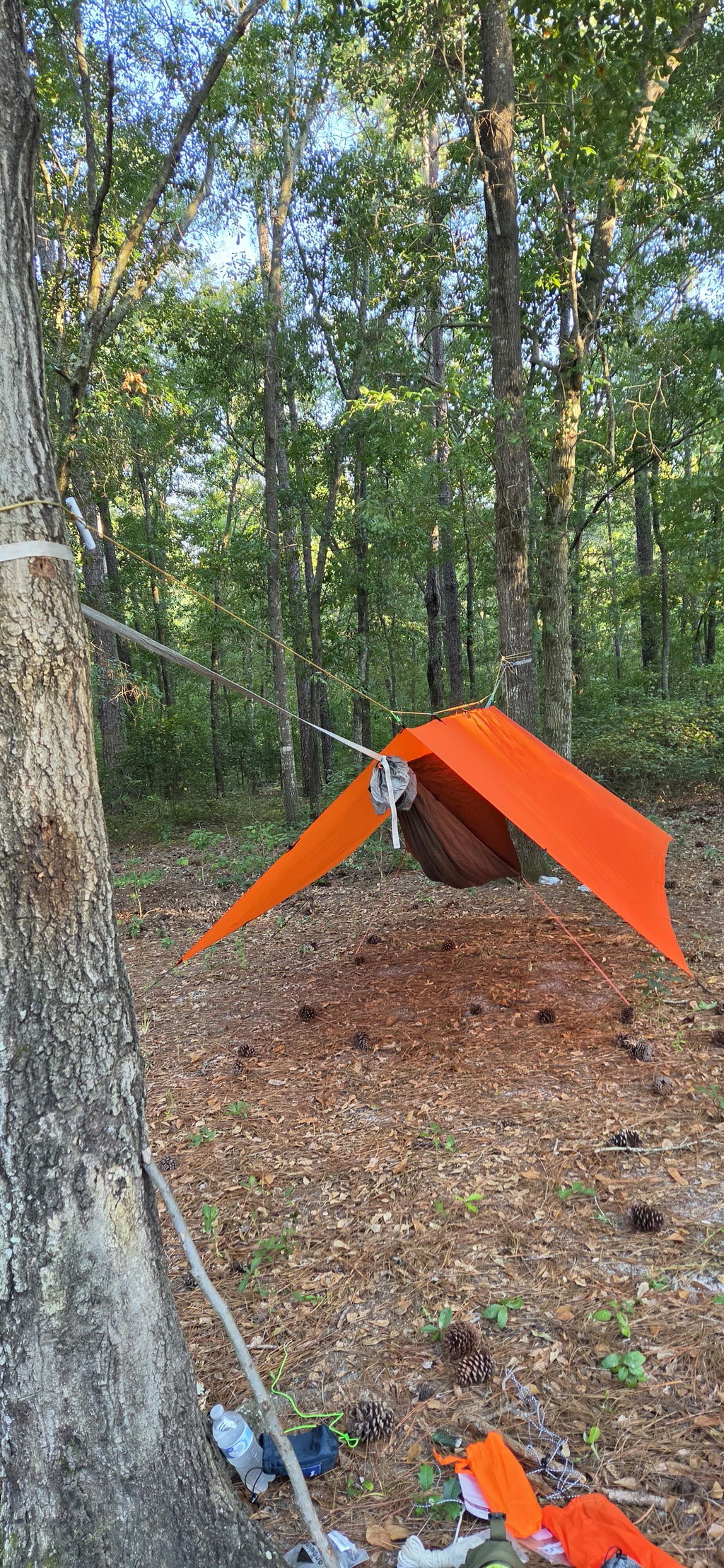 DD SuperLight Tarp bâche hamac vert olive 19 attaches