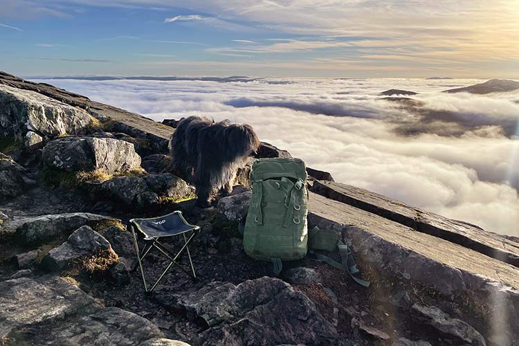 DD Accessories tabouret Camping Stool 310 g