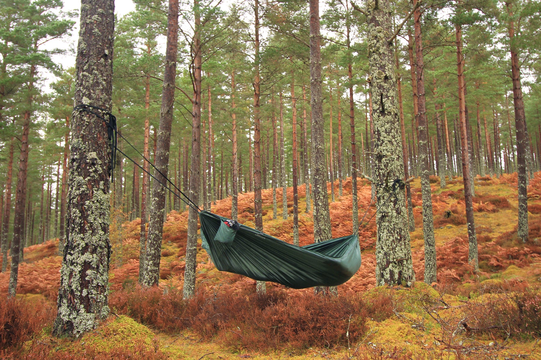 DD Hammocks Camping hamac double couche poche