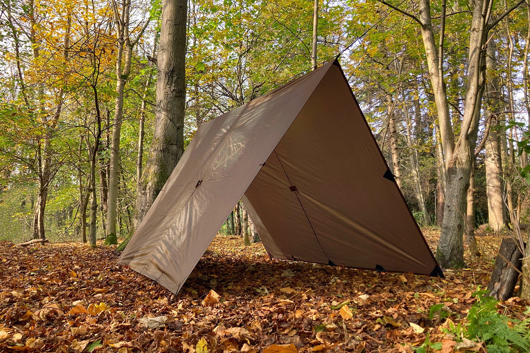 DD Hammocks Tarp XL bâche 4,5x3 m Vert olive